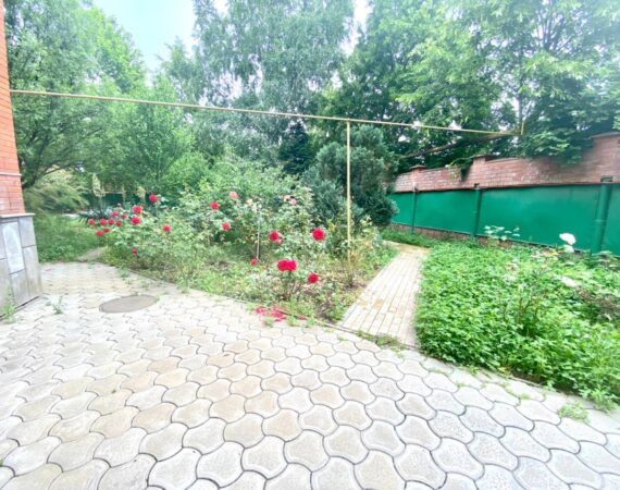 photo_2025-01-26_18-44-33