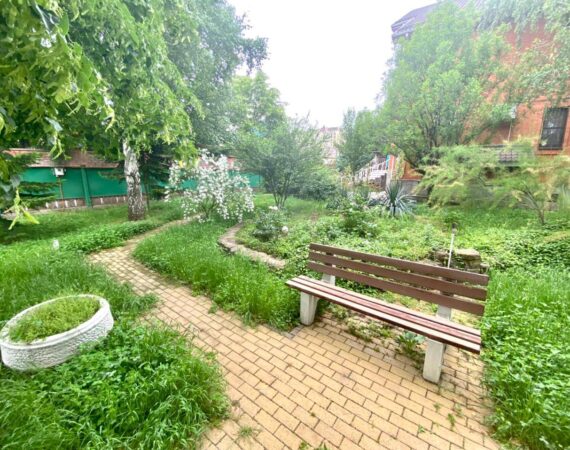 photo_2025-01-26_18-44-37