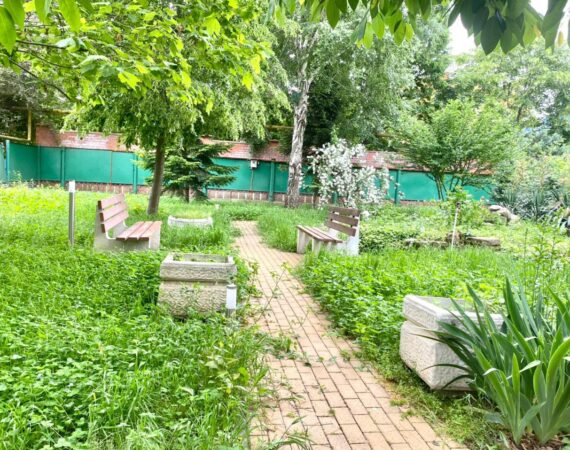 photo_2025-01-26_18-44-38