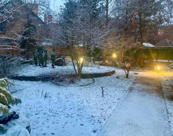 photo_2025-01-26_18-44-39