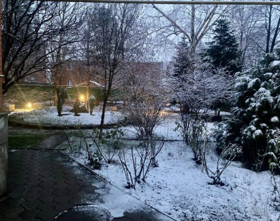 photo_2025-01-26_18-44-44